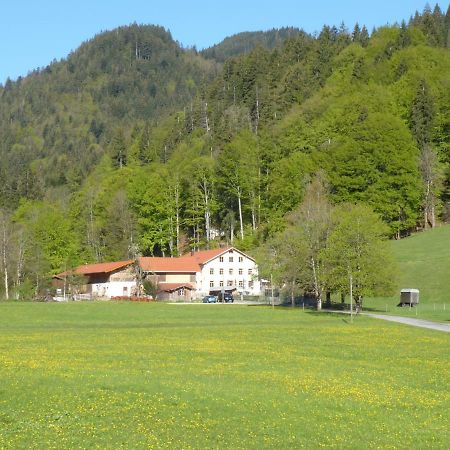 Gasthof Fallmuehle Pfronten Exterior photo